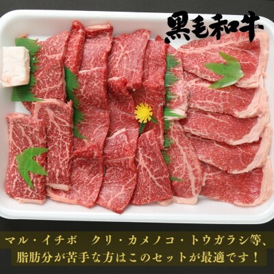 【定期便】3か月連続でお届け! 特選 黒毛和牛 (阿波牛)赤身セット 約600g[計1.8kg]