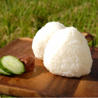 【令和6年産】奈良県産 ひのひかり 2kg(1袋)
