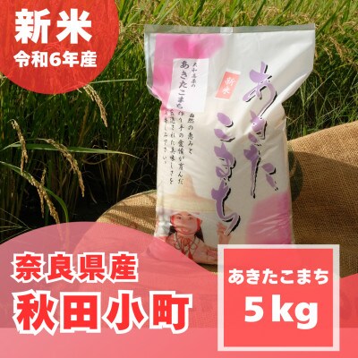 【2025年4月下旬発送】【令和6年】奈良県産 秋田小町 5kg