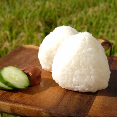 【令和7年産】奈良県産 あきたこまち 精米 10kg ( 5kg×2 )