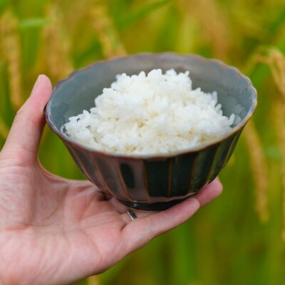 【令和6年産】【無洗米】奈良県産 ヒノヒカリ 5kg