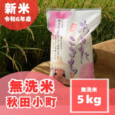 【令和6年産】【無洗米】 奈良県産 あきたこまち 5kg