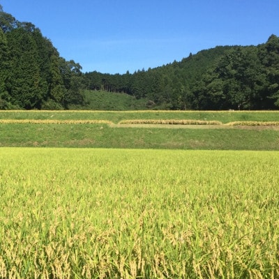 【令和6年産】【無洗米】 奈良県産 あきたこまち 5kg