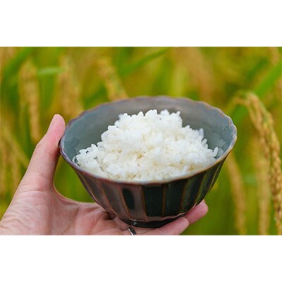 2024年1月発送開始『定期便』【無洗米】奈良県大和高田市産ヒノヒカリ5kg×2計10kg 全6回