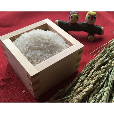 2024年1月発送開始『定期便』【無洗米】奈良県大和高田市産ヒノヒカリ5kg×2計10kg 全6回