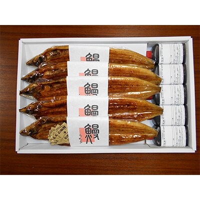 うな源特製 活うなぎ蒲焼き 5尾