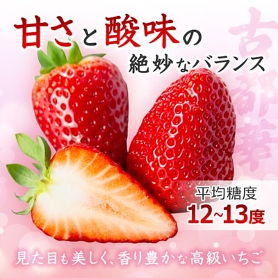 奈良県産いちご　古都華　化粧箱入り4パック