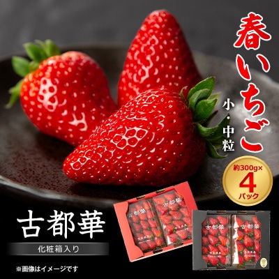 春いちご　古都華　約300g×4パック　合計約1200g