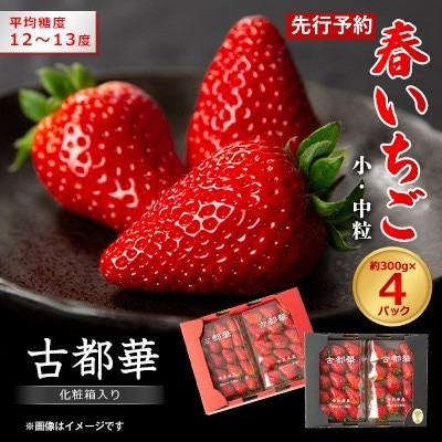 令和9年度　春いちご　古都華　約300g×4パック　合計約1200g