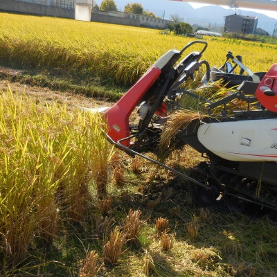 ヒノヒカリ「こだわり肥料と奈良奥吉野の自然豊かな水源地吉野川分水の