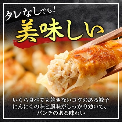 鉄人餃子　300個(30個×10袋)