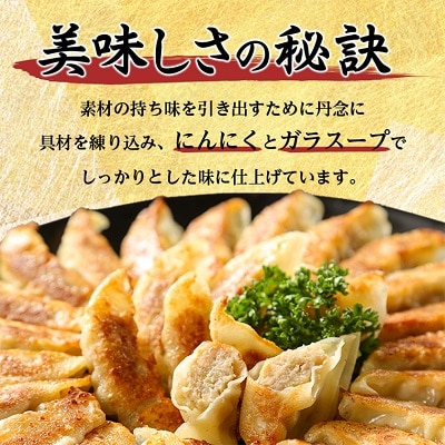 鉄人餃子　300個(30個×10袋)