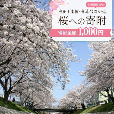 【返礼品なし】高田千本桜や大和高田市内の都市公園などの桜への寄附　1口:1,000円