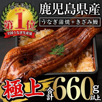 鹿児島県産うなぎ蒲焼きざみセット<極上>(約160～236g×3尾・きざみ50g×2袋) タレ・