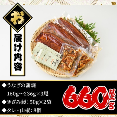 鹿児島県産うなぎ蒲焼きざみセット<極上>(約160～236g×3尾・きざみ50g×2袋) タレ・