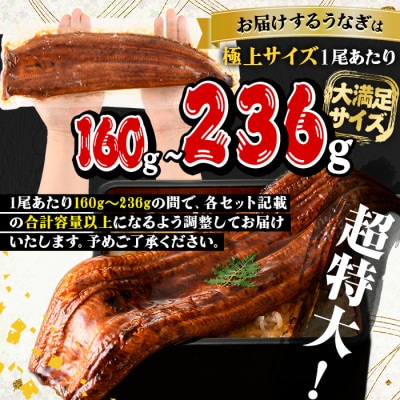 鹿児島県産うなぎ蒲焼きざみセット<極上>(約160～236g×3尾・きざみ50g×2袋) タレ・