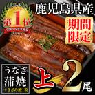 無投薬!うなぎ蒲焼セット(上・ 約140g以上×2尾&きざみ鰻50g)　