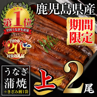 無投薬!うなぎ蒲焼セット(上・ 約140g以上×2尾&きざみ鰻50g)　