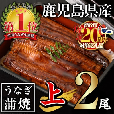 無投薬!うなぎ蒲焼セット(上・ 約140g以上×2尾)　