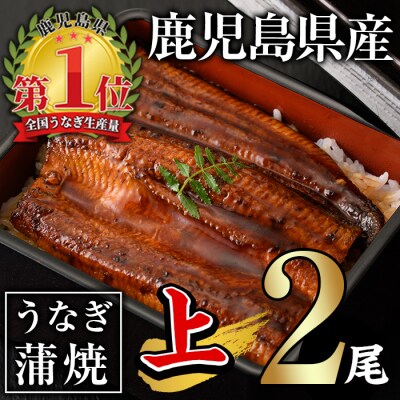 無投薬!うなぎ蒲焼セット(上・ 約140g以上×2尾)　