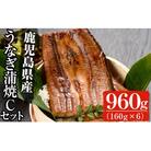 うなぎ蒲焼Cセット(約160g×6尾,タレ・山椒付)  