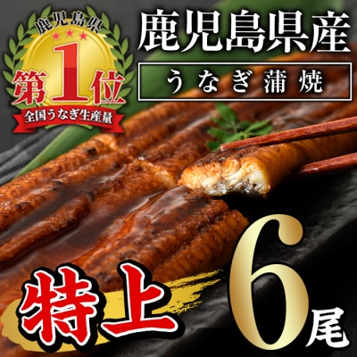 無投薬!鹿児島県産うなぎ蒲焼セット<特上>(計960g・ 約160g以上×6尾) タレ・山椒付