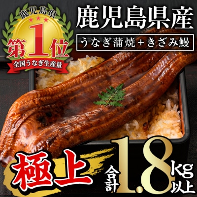鹿児島県産うなぎ蒲焼きざみセット<極上>(160～236g×7尾　きざみ鰻50g×10袋　タレ・