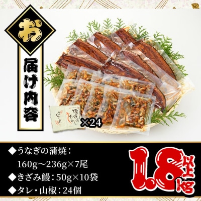 鹿児島県産うなぎ蒲焼きざみセット<極上>(160～236g×7尾　きざみ鰻50g×10袋　タレ・