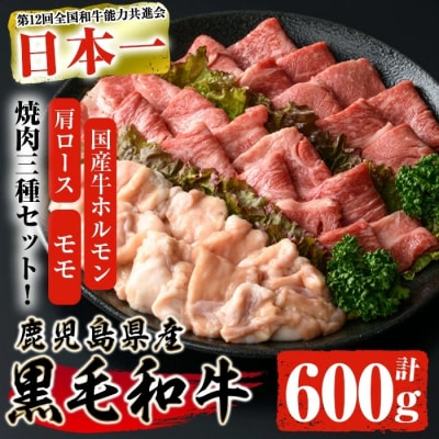 鹿児島県産黒毛和牛焼肉セット600g