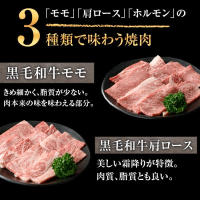 鹿児島県産黒毛和牛焼肉セット600g