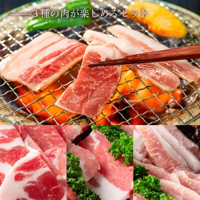 鹿児島黒豚焼肉セット