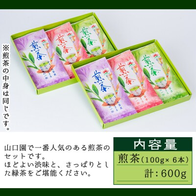 <お茶生産量日本一の鹿児島県産!>小さいお茶屋の煎茶600g!