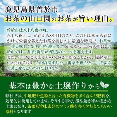 <お茶生産量日本一の鹿児島県産!>小さいお茶屋の煎茶600g!