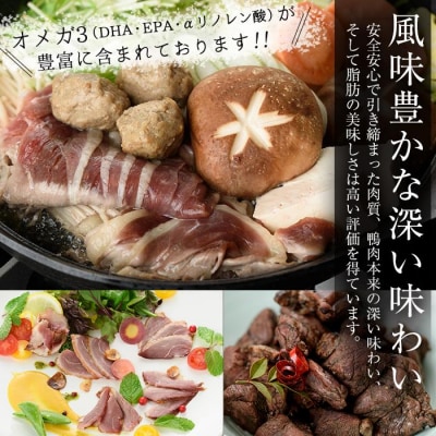 薩摩「黒鴨」鍋セットA