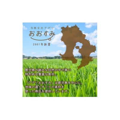 (訳あり)黒豚まん10個入(化粧箱なし・ご自宅用)