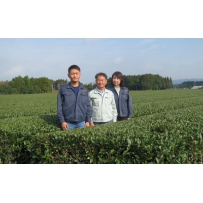 <お茶生産量日本一の鹿児島県産!>小さいお茶屋の深蒸し茶ティーバッグ!!