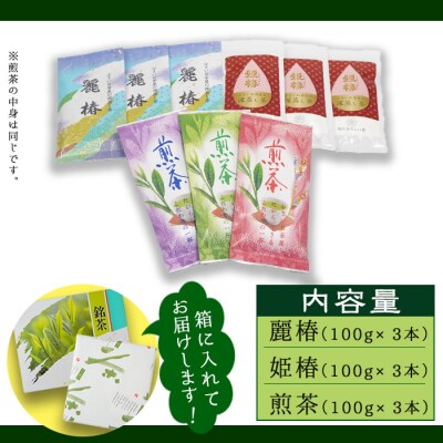 <お茶生産量日本一の鹿児島県産!>小さいお茶屋の深蒸し茶セット2
