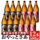 岩川醸造 おやっとさあ 12本セット