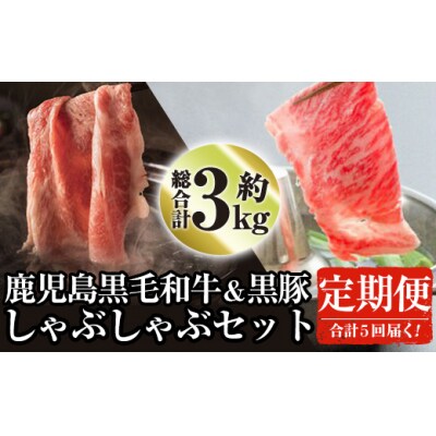 【毎月届くわくわく定期便】鹿児島県産黒毛和牛黒豚しゃぶセット合計5回[2]
