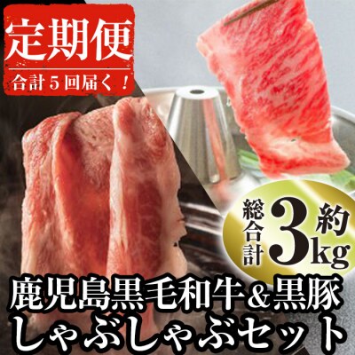 【毎月届くわくわく定期便】鹿児島県産黒毛和牛黒豚しゃぶセット合計5回[2]