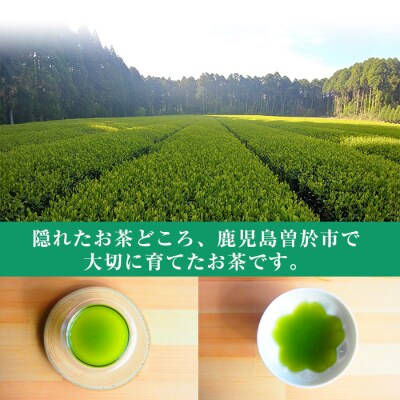 【国内外で入賞】隠れたお茶どころ、鹿児島の曽於茶＜厳選＞3本セット
