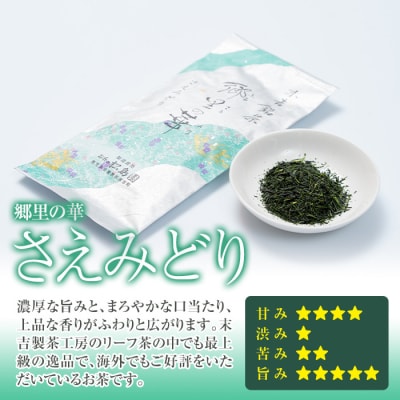 【フィルターインボトル付き】隠れたお茶どころ、鹿児島の曽於茶2本セット