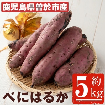 【先行受付】鹿児島県産　紅はるか5kg
