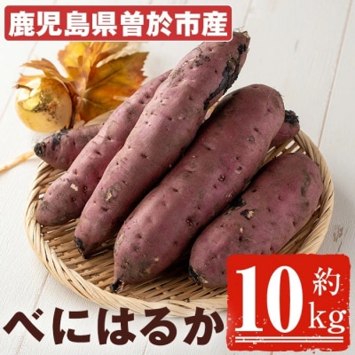鹿児島県産　紅はるか10kg