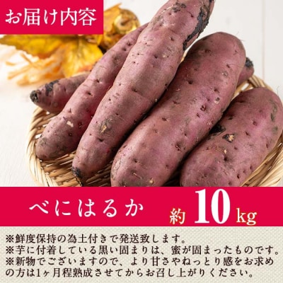 【先行受付】鹿児島県産　紅はるか10kg