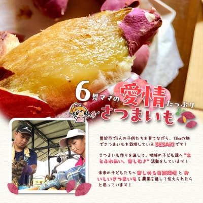 鹿児島県産　紅はるか10kg