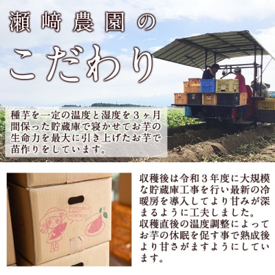 鹿児島県産　紅はるか10kg