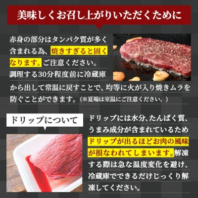 鹿児島県産黒毛和牛(A5等級)赤身ステーキ計600g(300g×2パック)