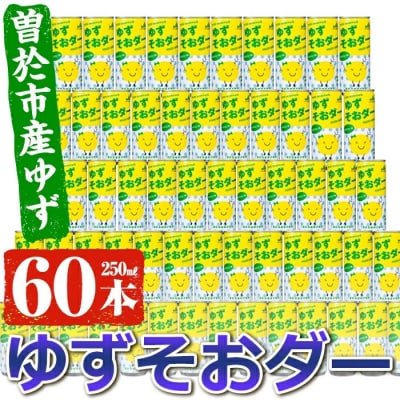 ゆずそおダー合計60本
