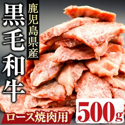 鹿児島県産黒毛和牛ロース (焼肉用カット)500g